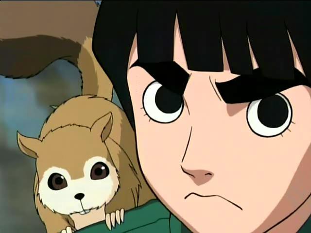 rock lee.jpg